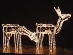 Reindeer Motif Xmas Lights
